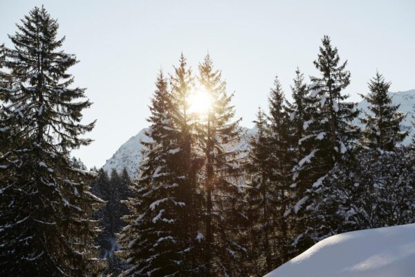 Alpen Roesli Hotel Klosters